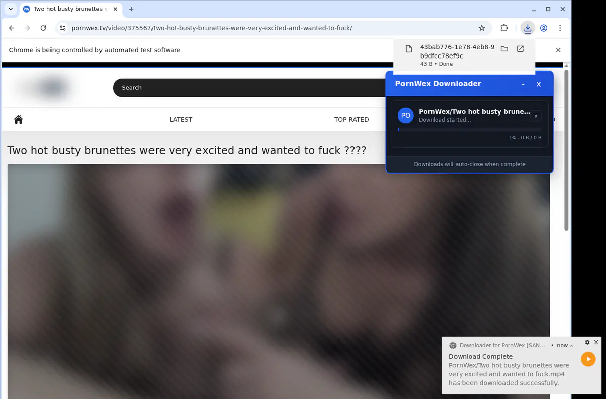 Pornwex Video Downloader screenshot 2