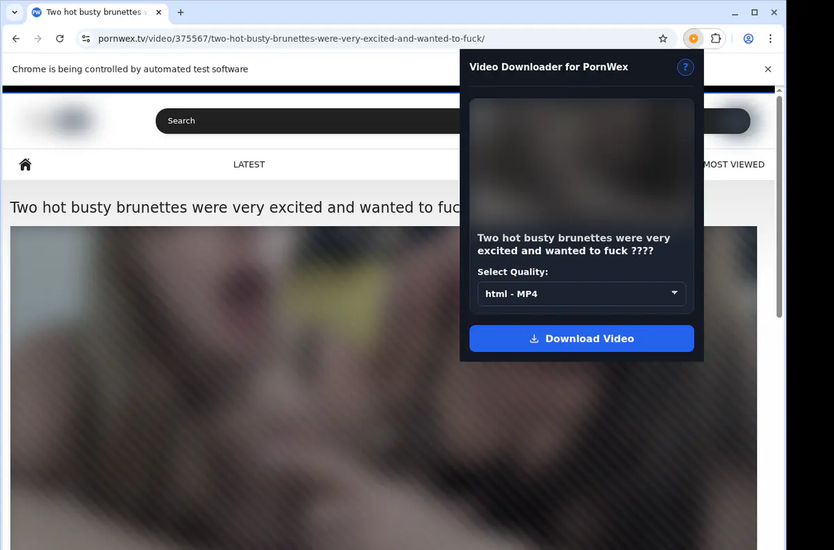 Pornwex Video Downloader screenshot 3